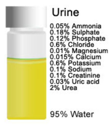 urine Mengapa Air Mata Asin, Air Telinga Pahit, dan Air Mulut Tawar? 